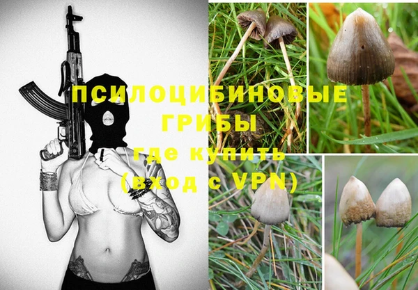 МДПВ Заволжск