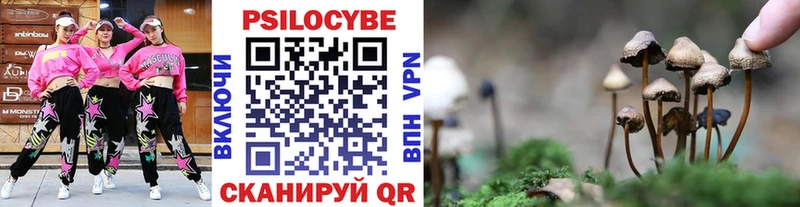 Купить  Ярцево  Псилоцибиновые грибы GOLDEN TEACHER 